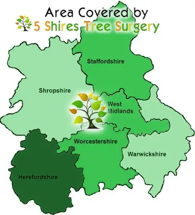 Contact us areas covered tree cutting and tree felling 5 Shire tree surgery