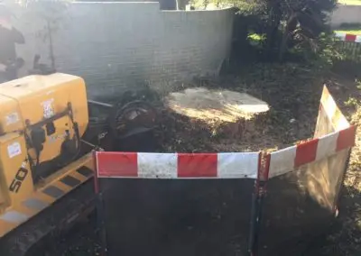 Stump Grinding & Chemical Injection